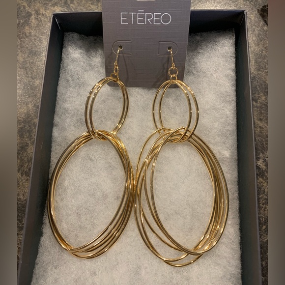 Jewelry Bundle Lia Sophia Necklaces and Etereo Earrings - Picture 5 of 7